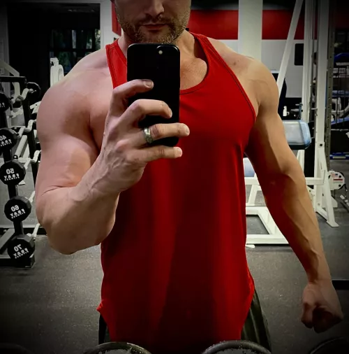 Back and Armday pump [36]