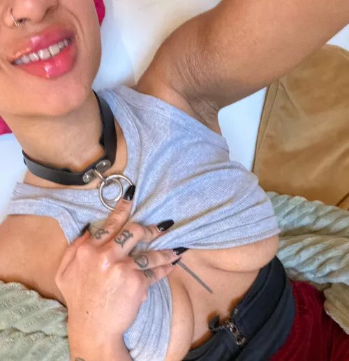 Being collared makes me the happiest