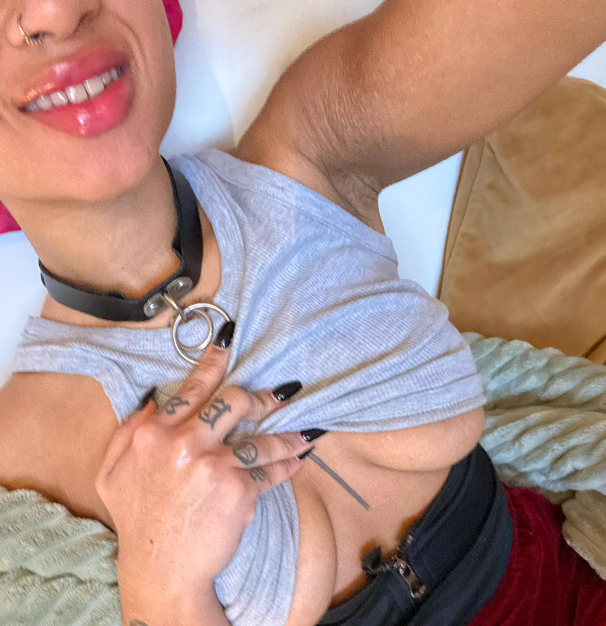 Being collared makes me the happiest