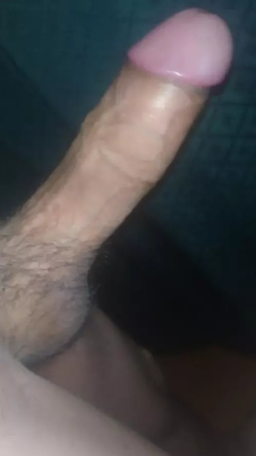 DM me if you like my cock :)