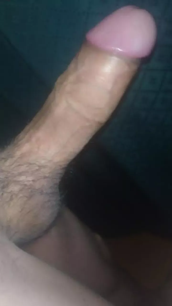 DM me if you like my cock :)