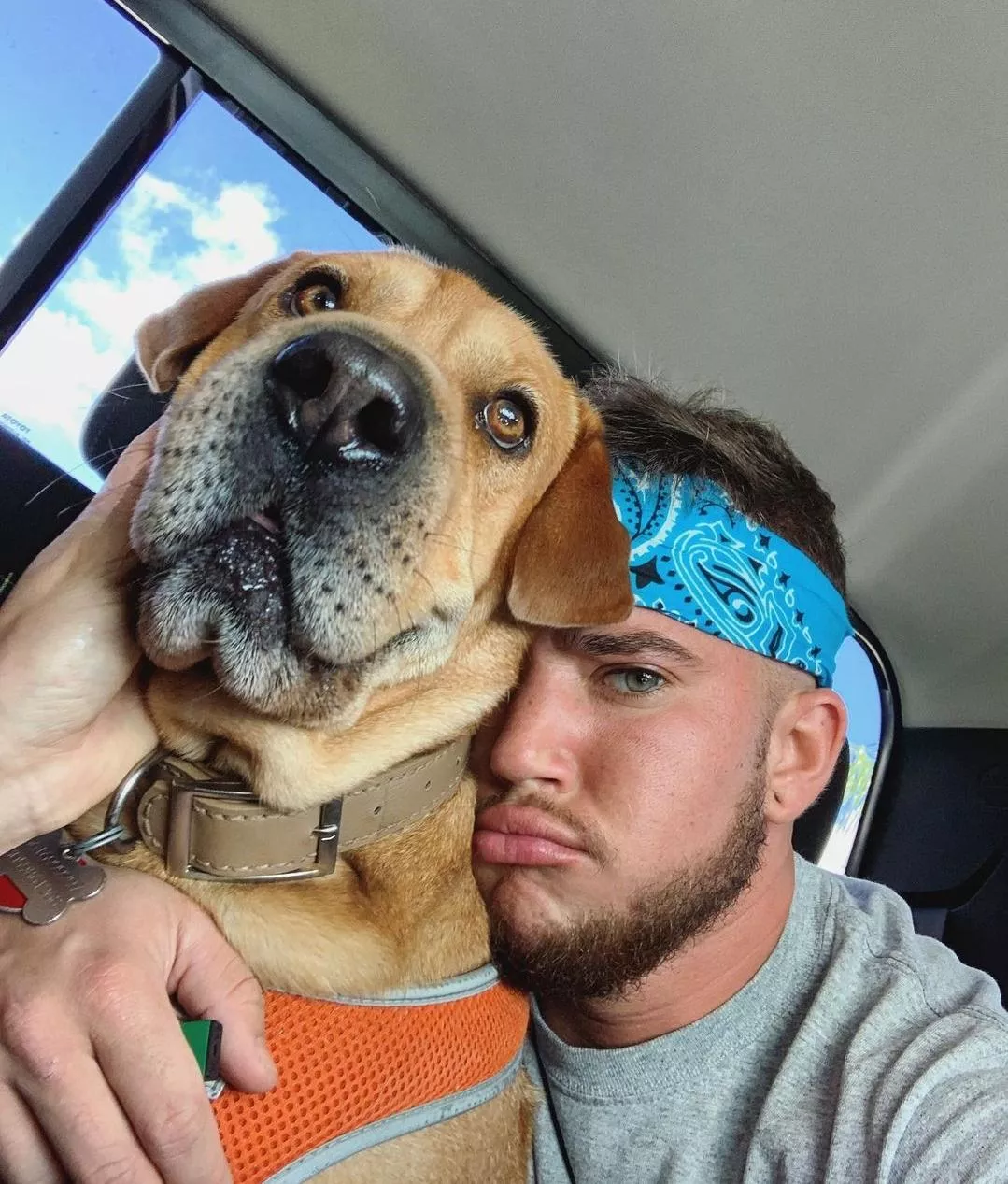 dogs are great. they only break your heart once.