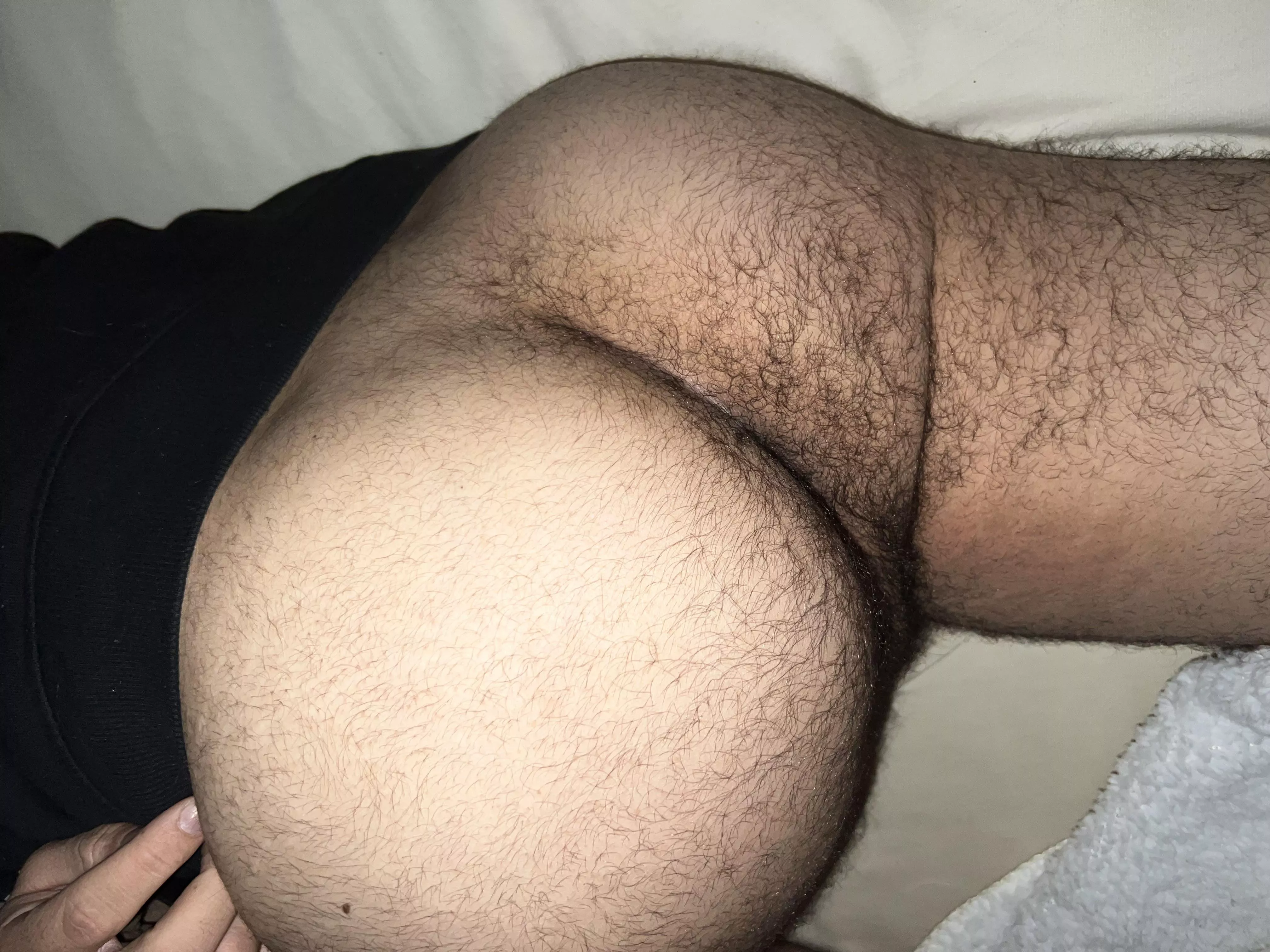 Fat, hairy and hungry 😋