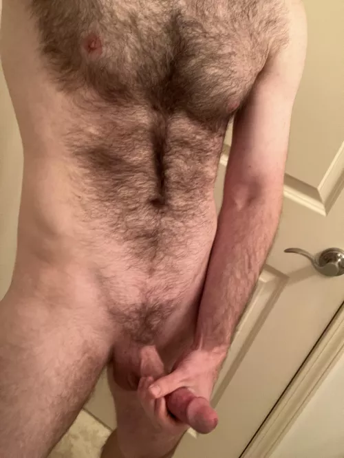 Hairy chest and a cut cock