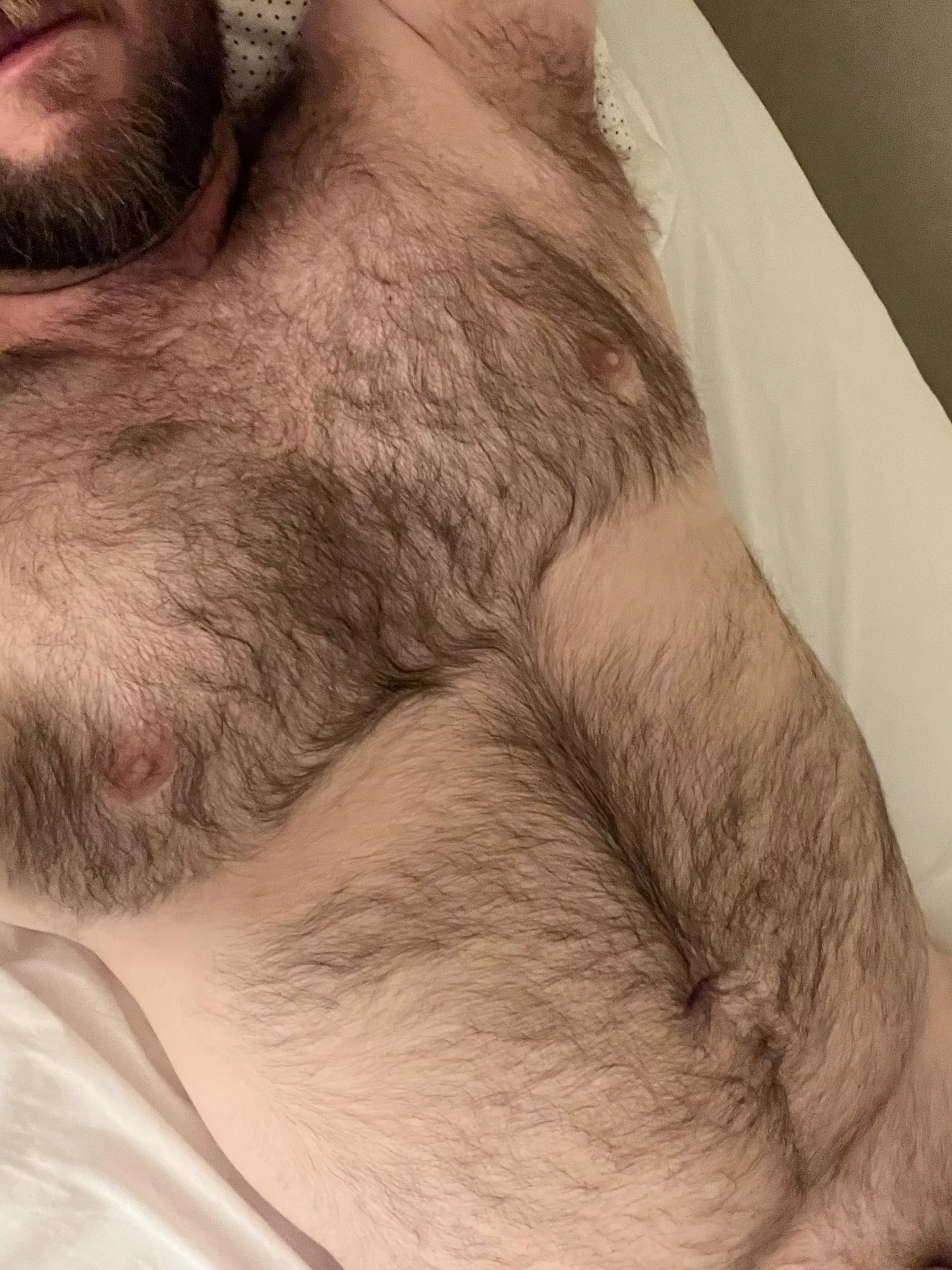 Horny and in need of Bear cuddles