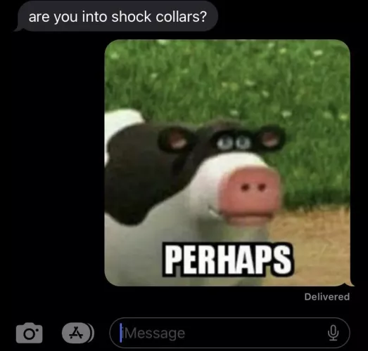 I can’t never take nothing seriously 😭