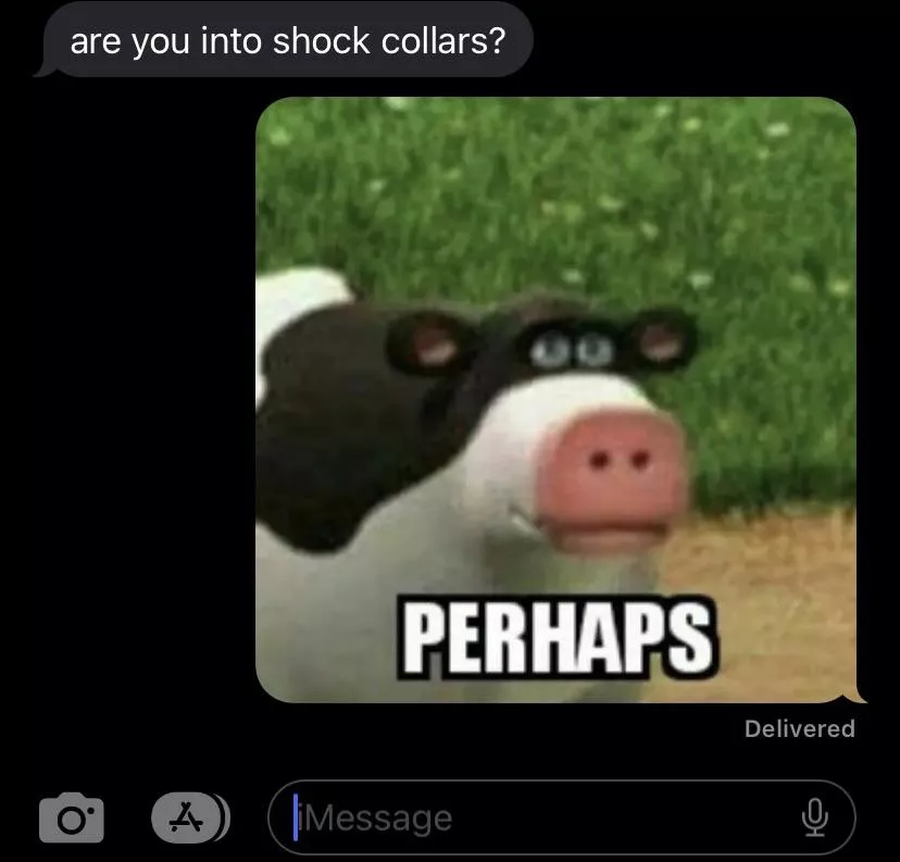 I can’t never take nothing seriously 😭