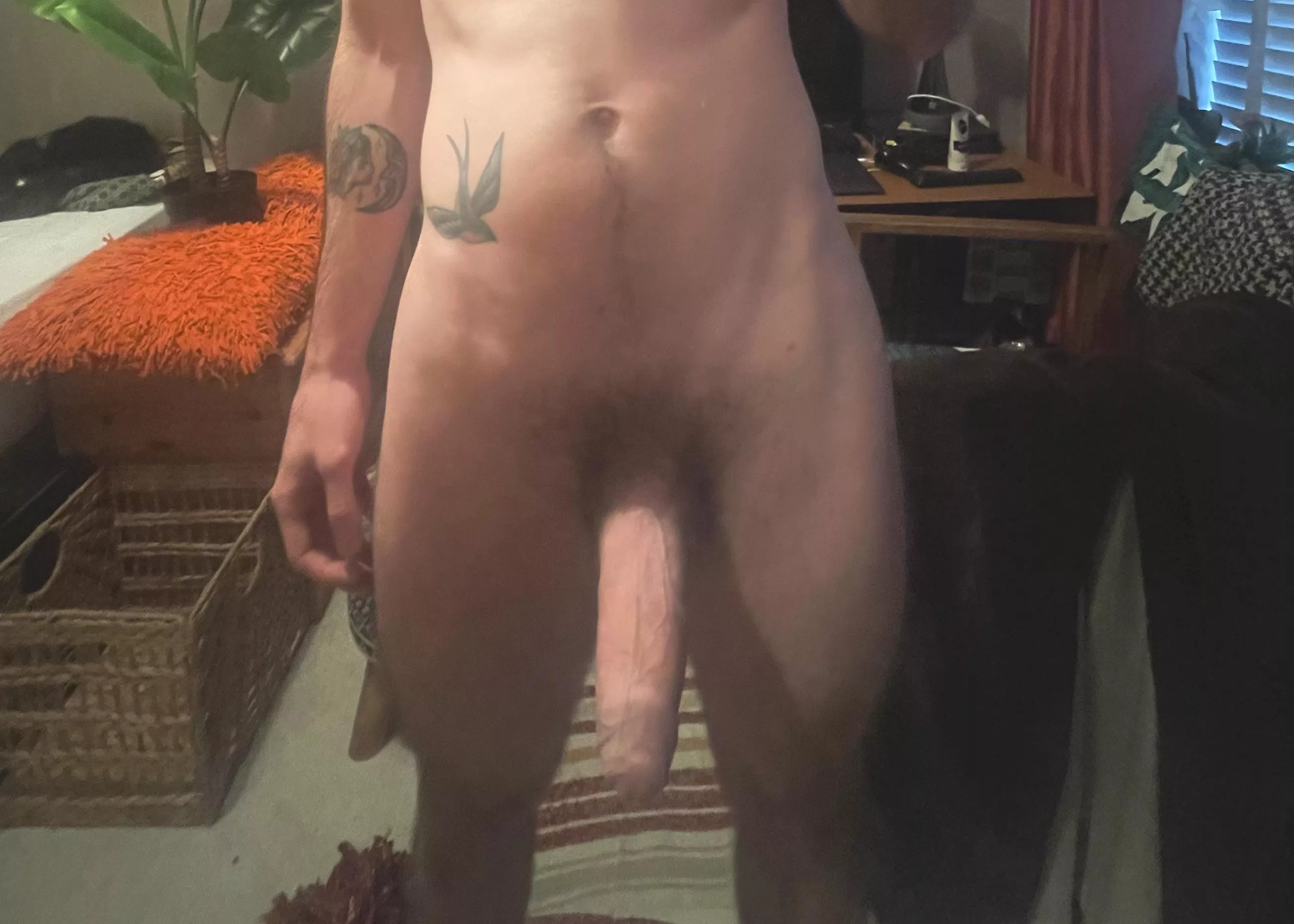 I think I found new fave subreddit