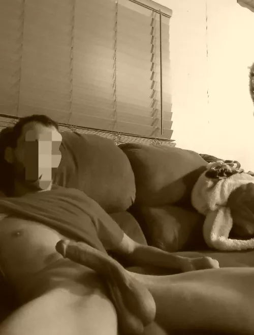 I wanna put it in your belly (m)