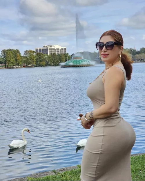 Just feeding the ducks