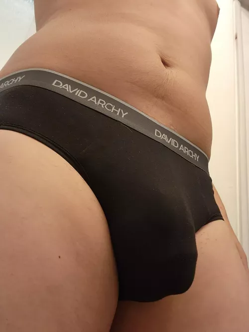New Briefs