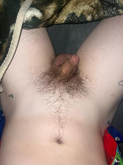 Shave it or not… what do we think guys?