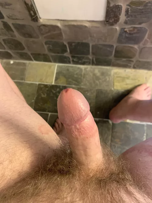 Thoughts on my perky little cock?