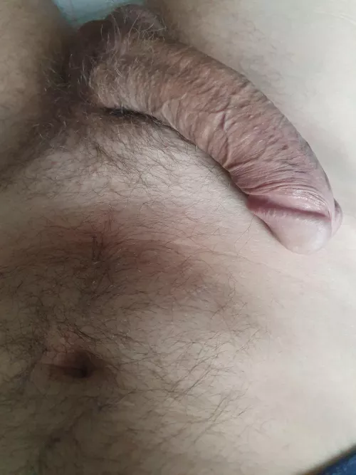 Wanna get wild? my cock wants