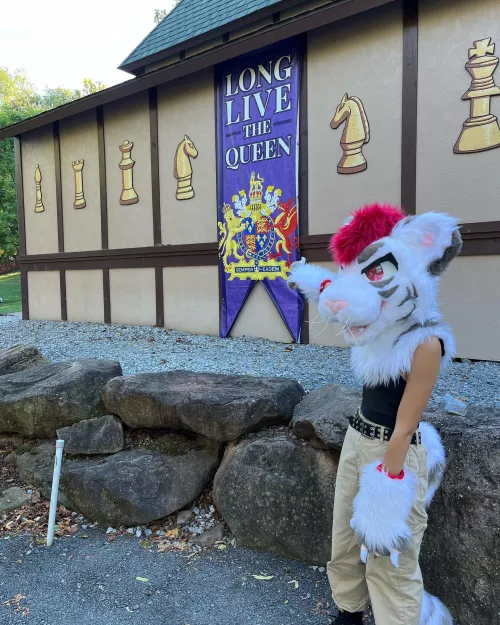 Who’s gonna tell them?