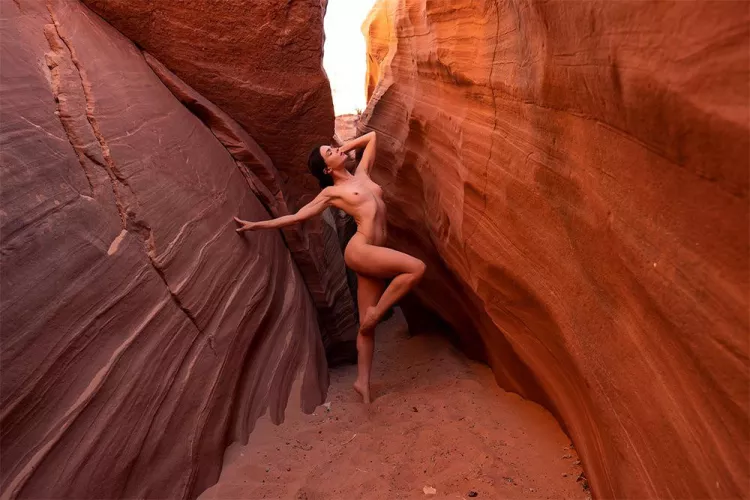 Wild hearts were never meant to live inside a white picket fence