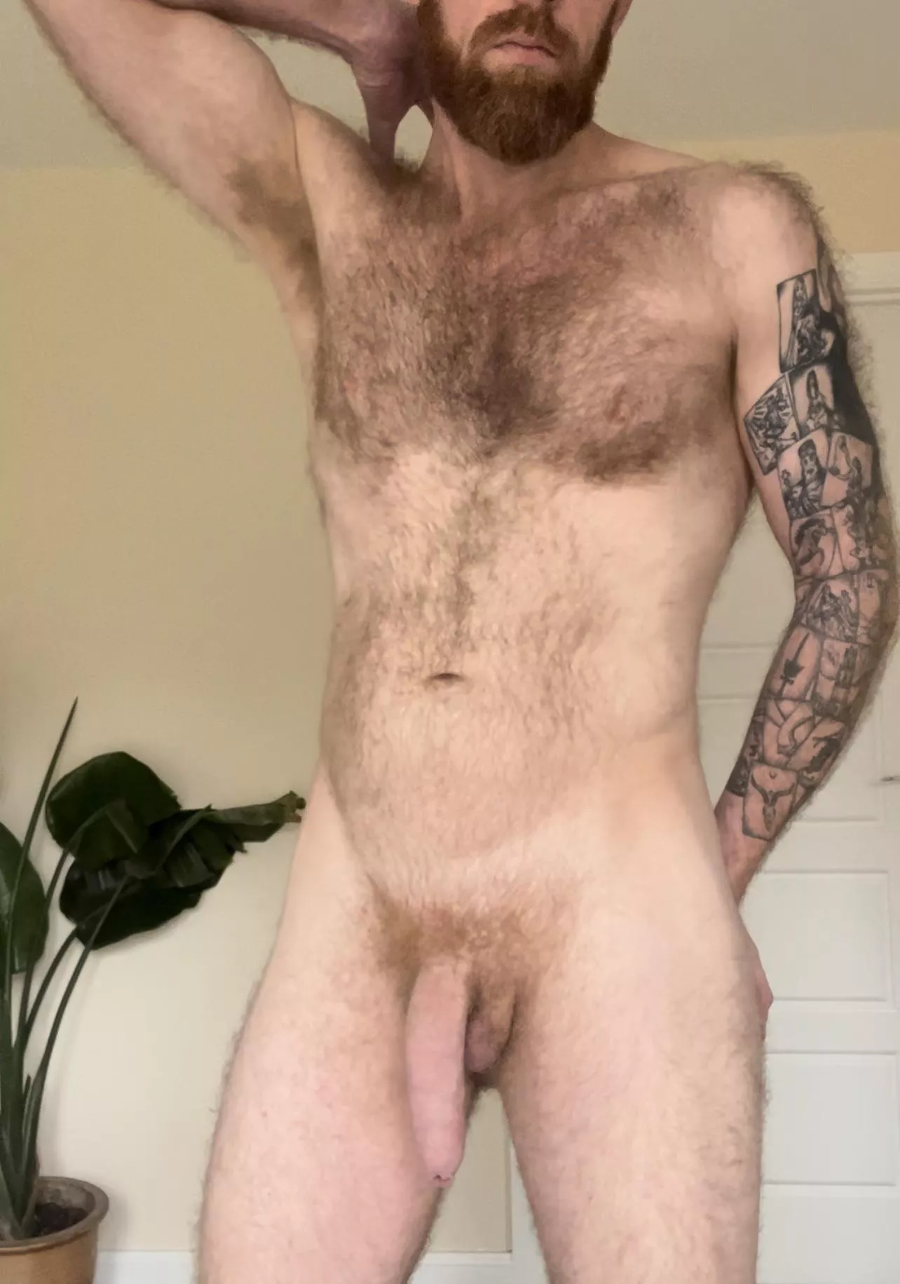 Would you like to get here and worship my pits?