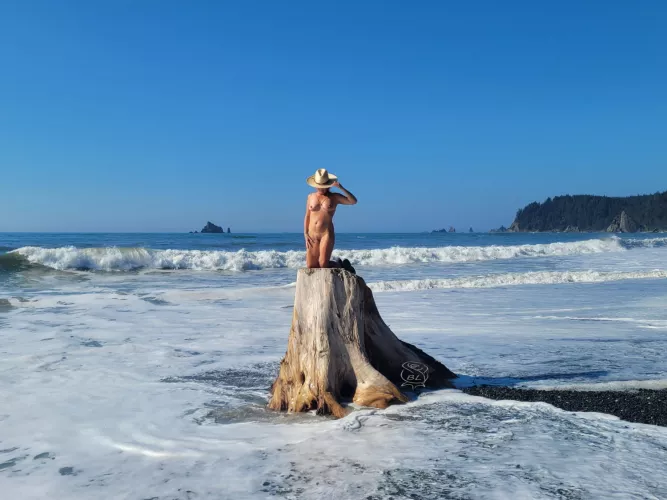 You've got me stumped on this one 😋