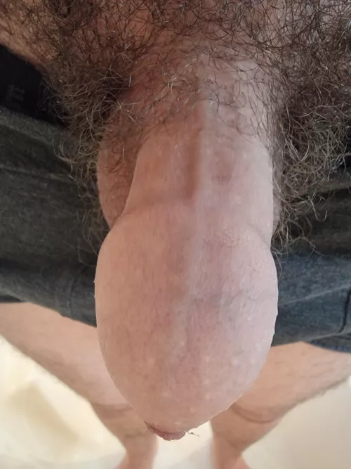 (18) bit of dust on my tip