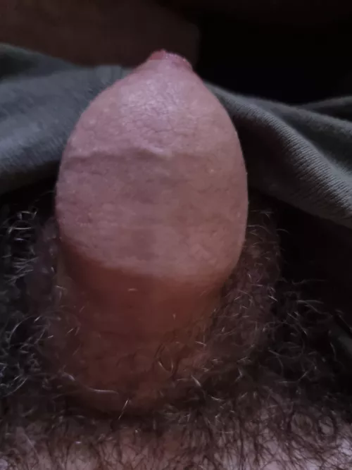 18) what do people think of a soft penis with foreskin? And anyone wanna see it hard ;)
