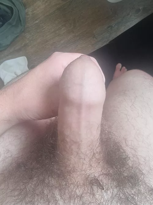 18) young clean foreskin anyone wanna see it fully hard ;)