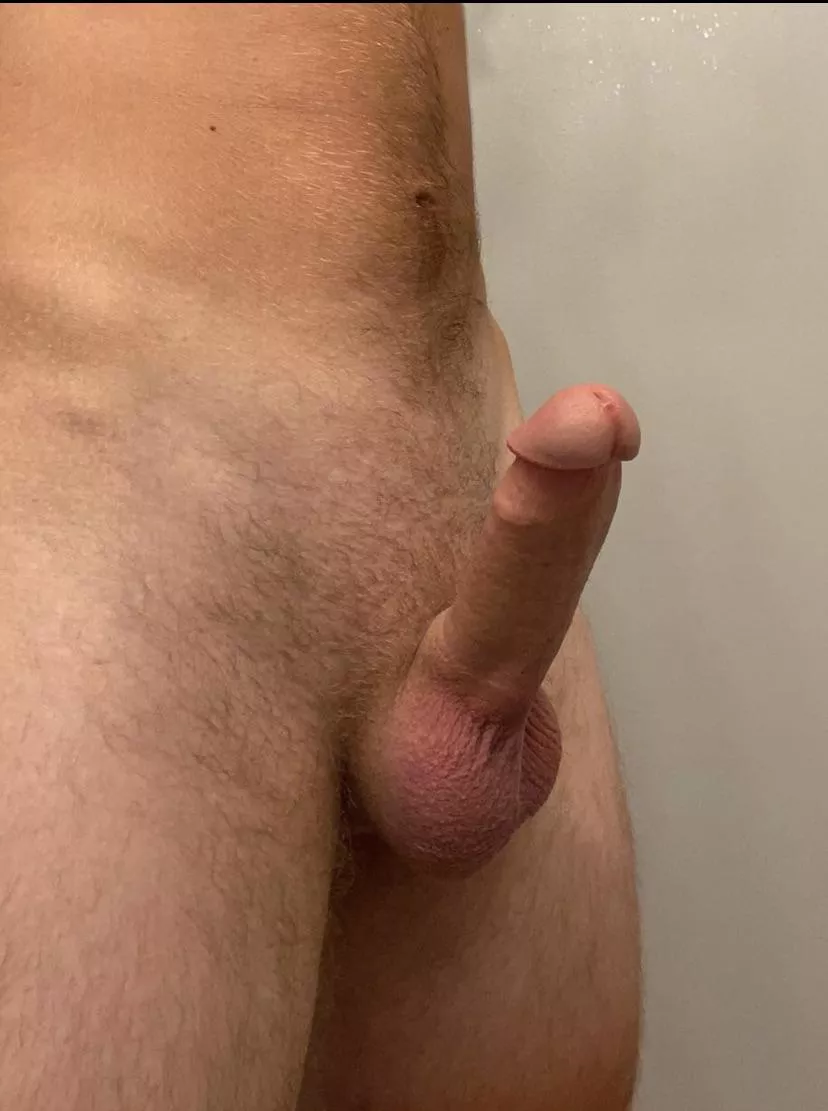 Another horny cock