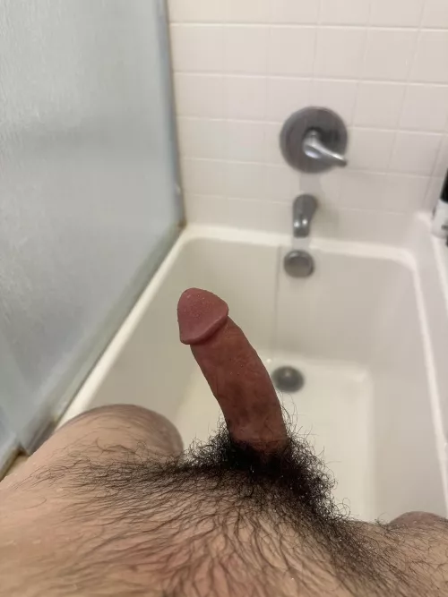 Catch a rideeee (Borderlands is the goat)