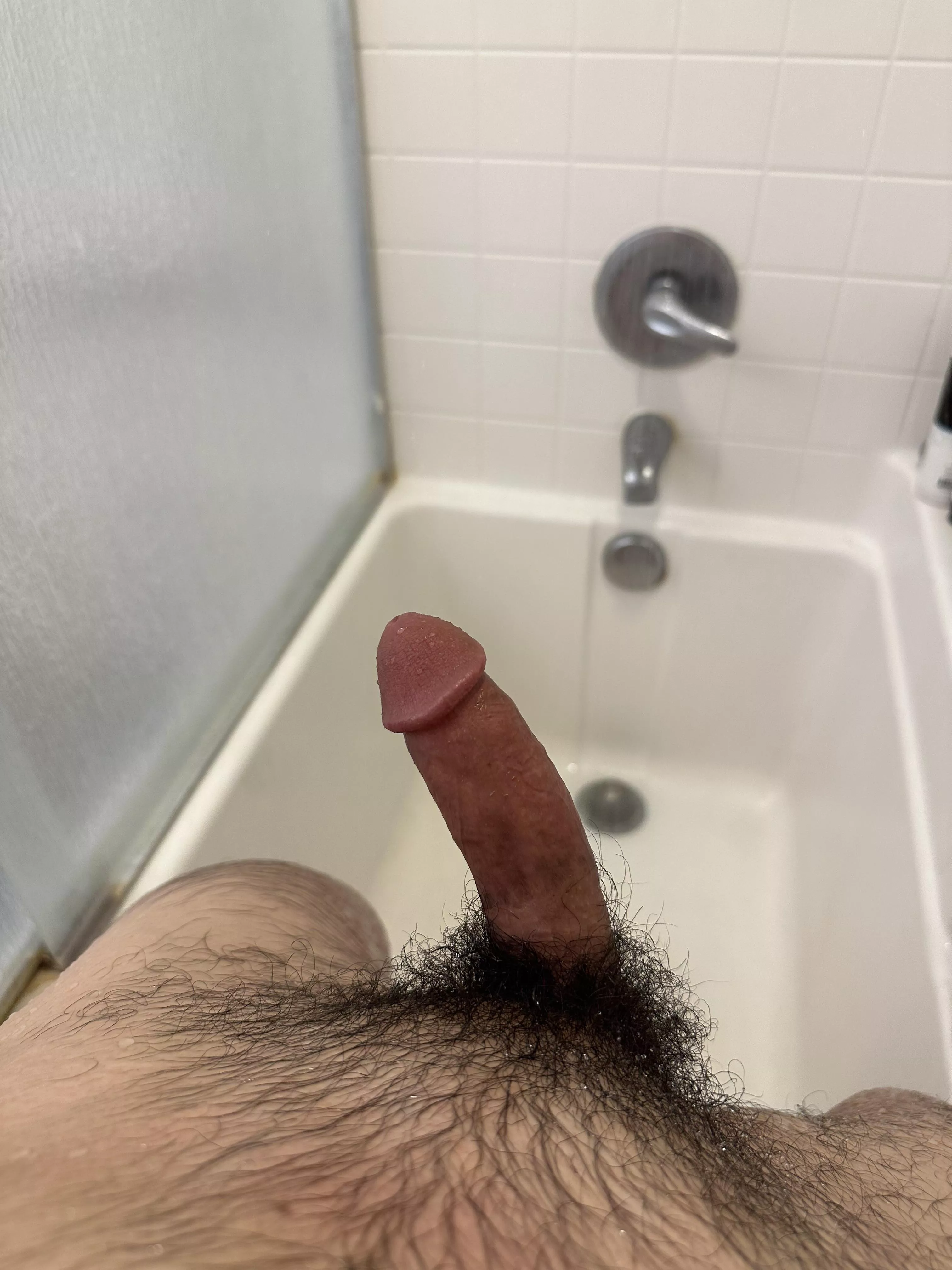 Catch a rideeee (Borderlands is the goat)