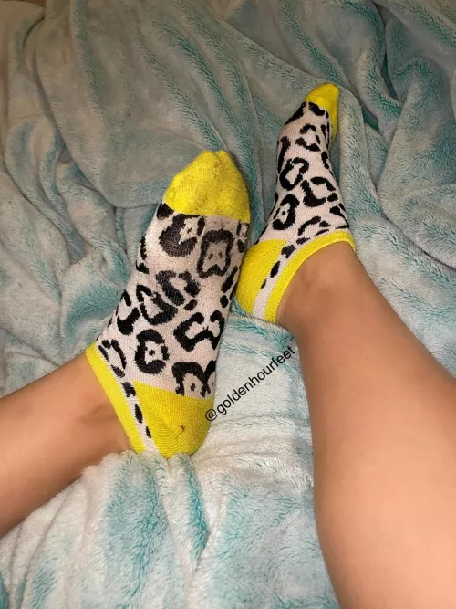 Cheetah print socks, do you like?💛