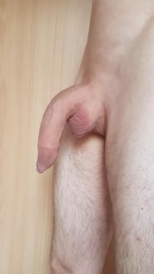 Covered and freshly shaved