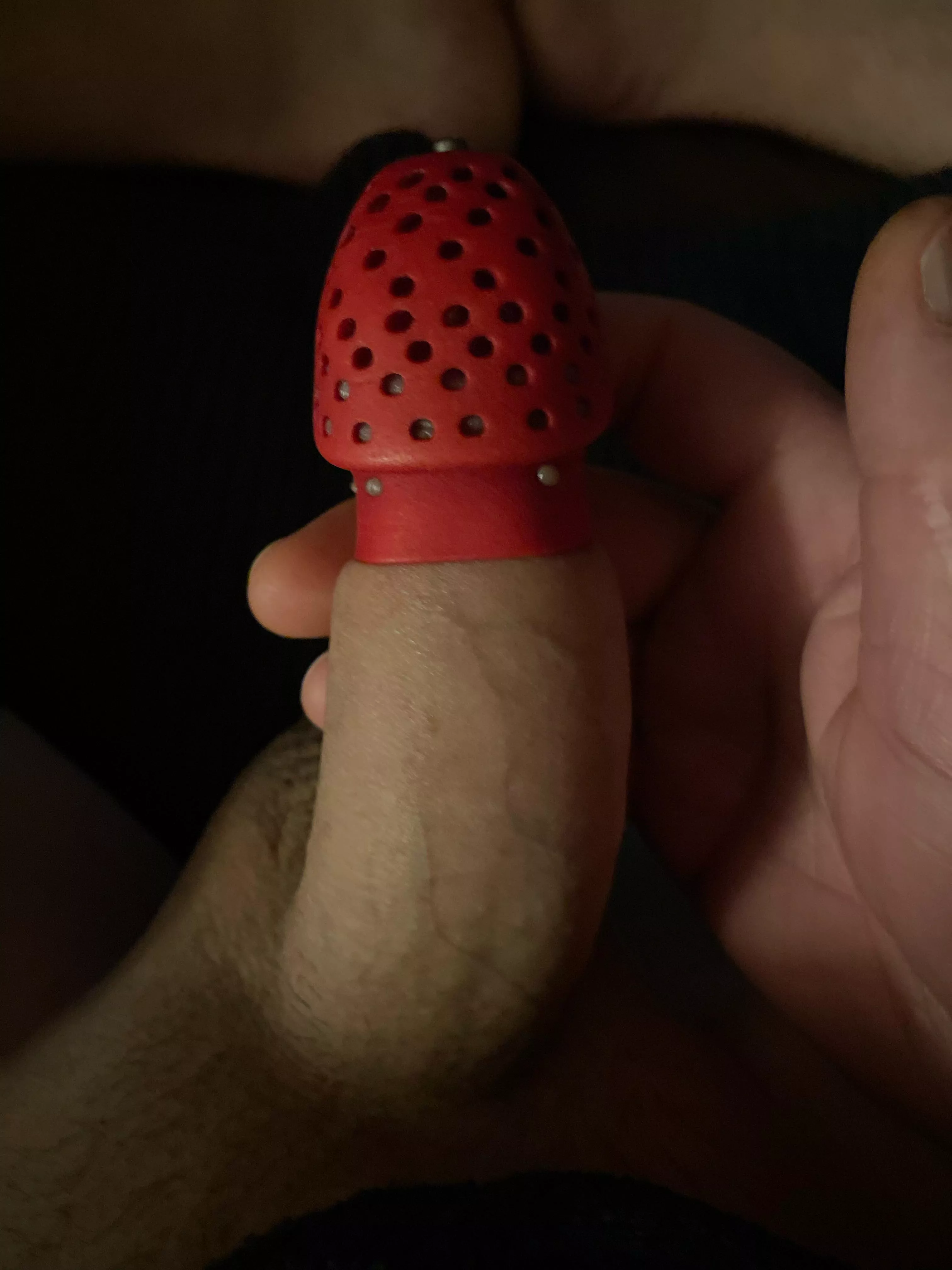 Day 64 and last night my queen let me out to tease me then she looked it back up before I can cum and told me that her bull wants me to dress up and be a party favour for his football party. And she said I have no choice