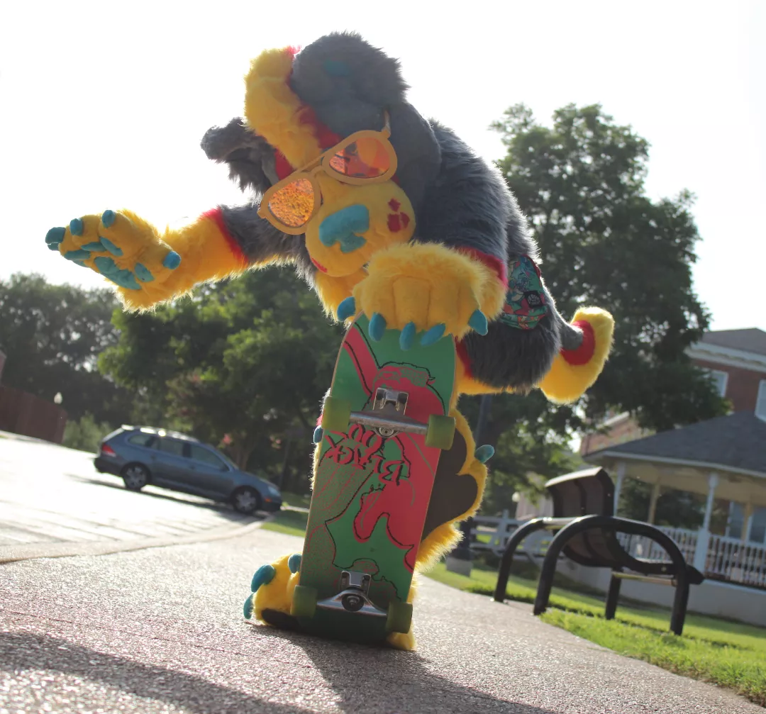 Do you even skate bro?