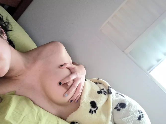 [f19] late morning, reddit!