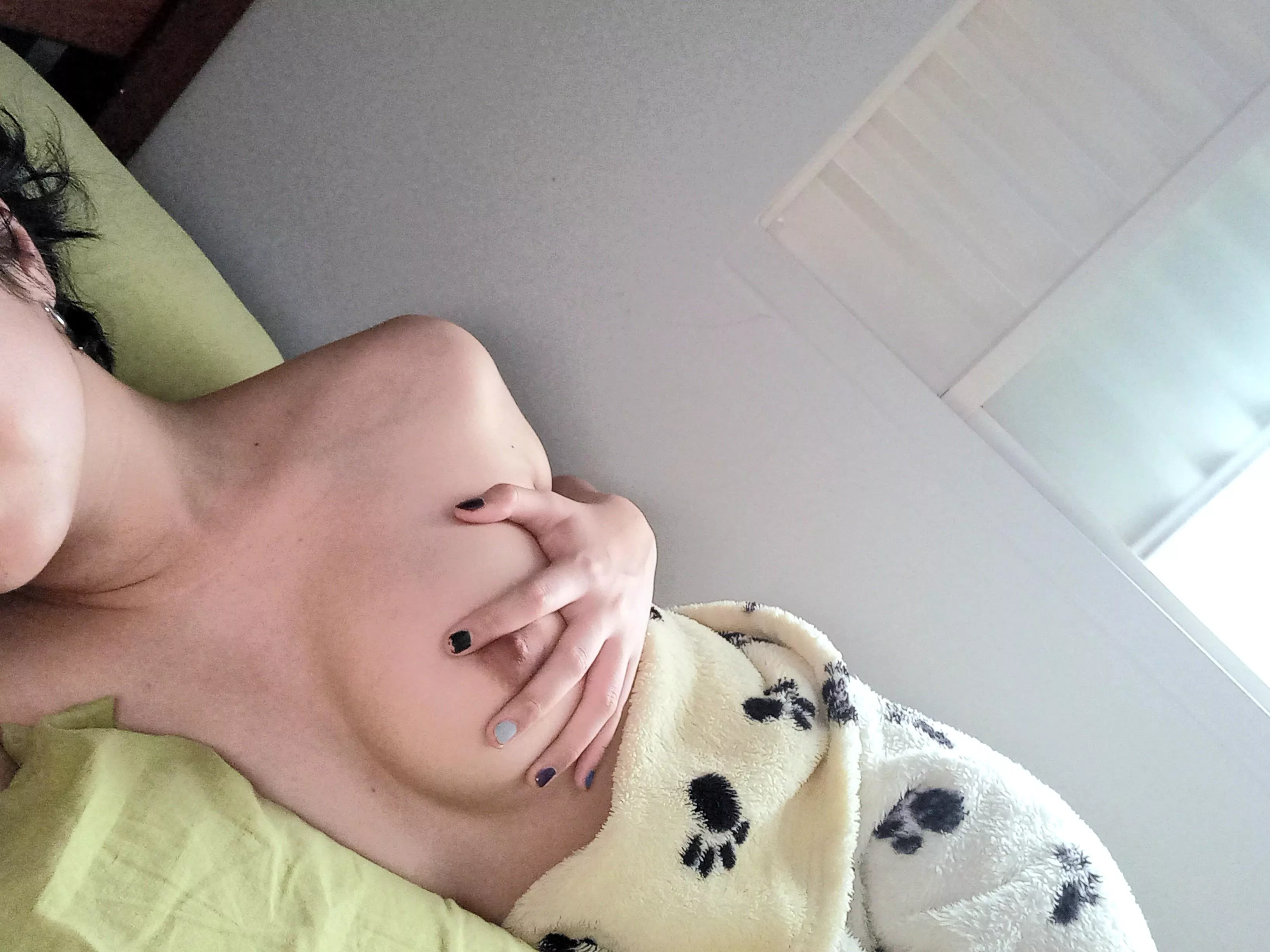 [f19] late morning, reddit!