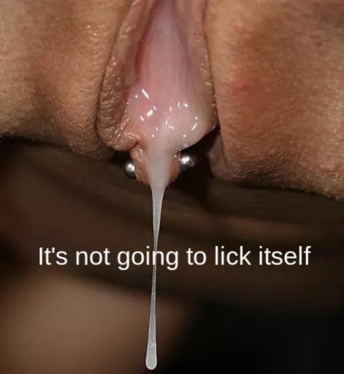 Get on it Cuck 😳😳