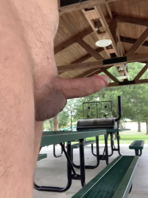 Getting the morning walk done