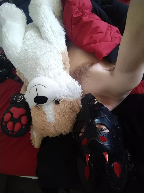 Good Morning, Like this pups new horns? ^^