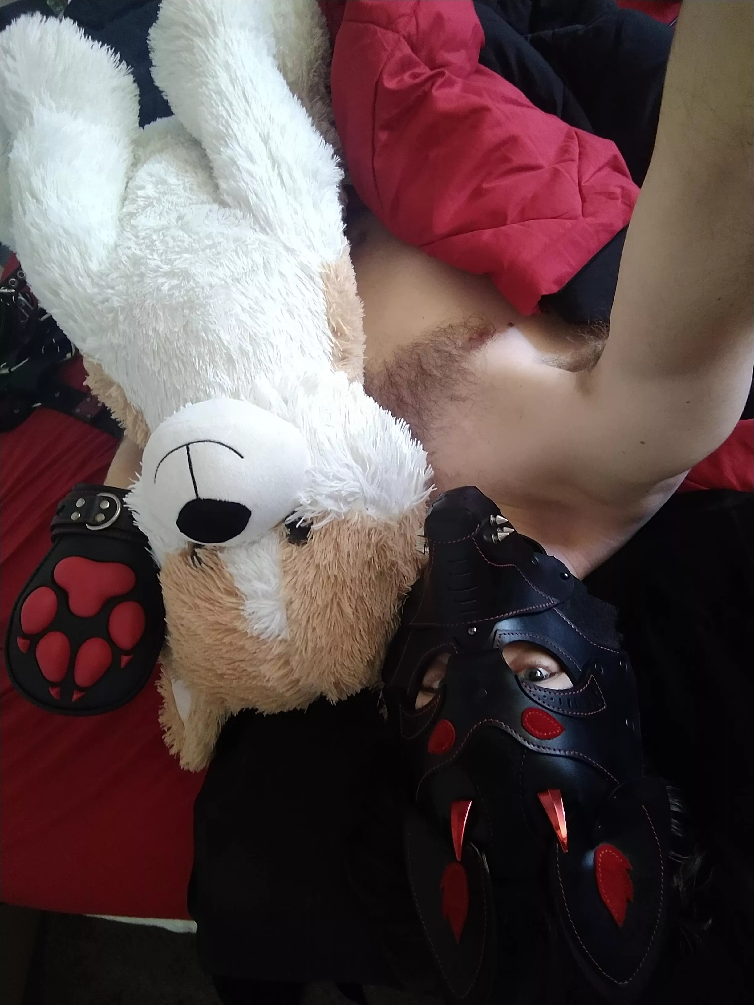 Good Morning, Like this pups new horns? ^^