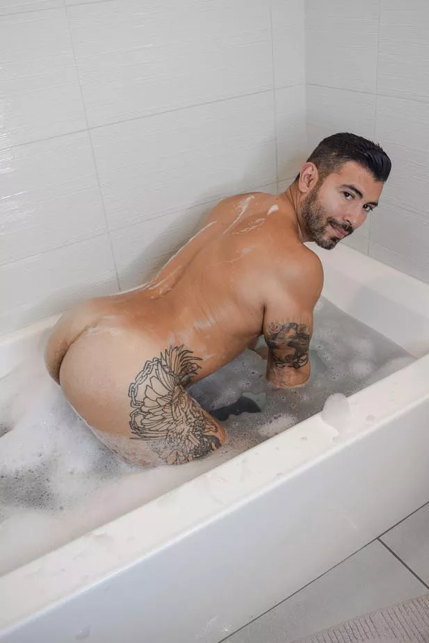 Help me get the back?