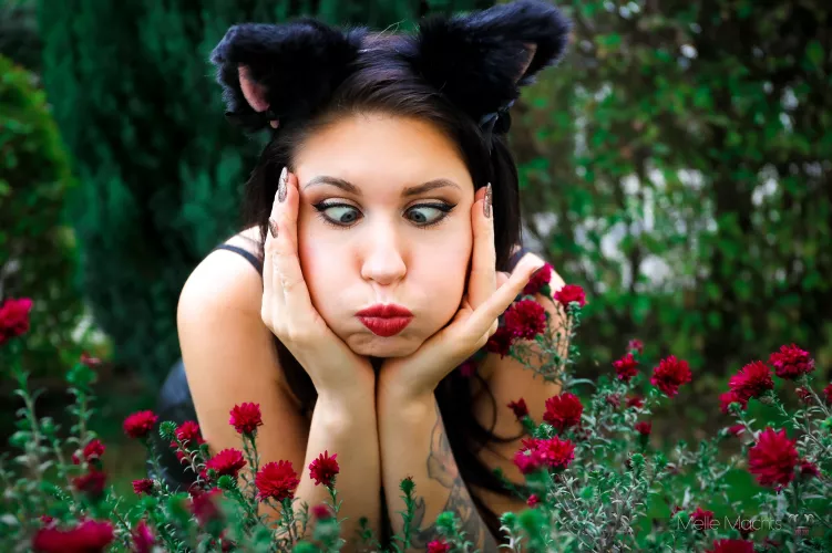 Hmm, beeing a cat is a hard job