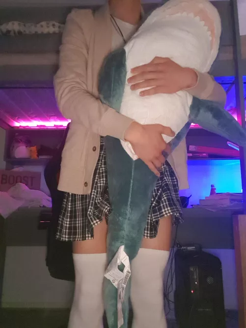 I FINALLY HAVE A BLAHAJ