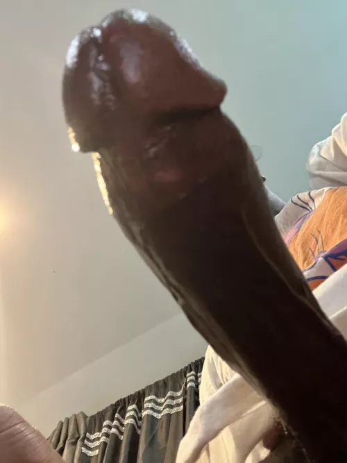 I need a warm wet mouth around this bbc 😈💦🤤🍆