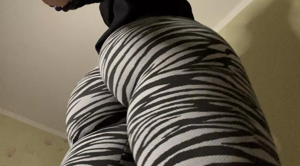 I wonder who has the strength to hold a zebra