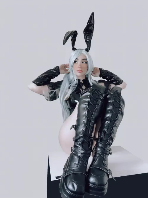 Latex Bunny Oreoconsushi