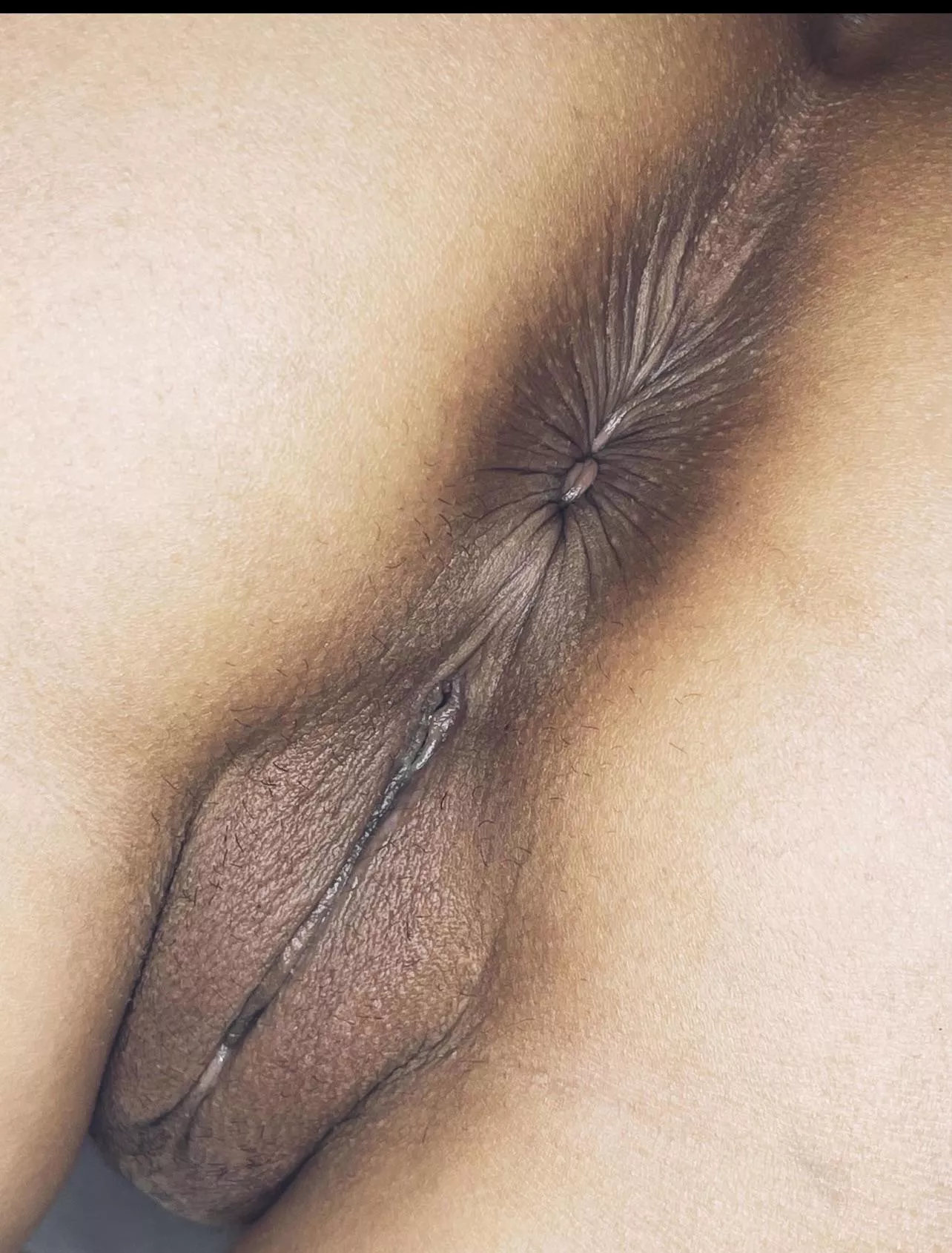 My asshole says aloha