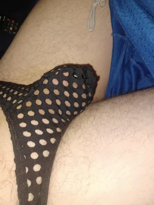 new mesh