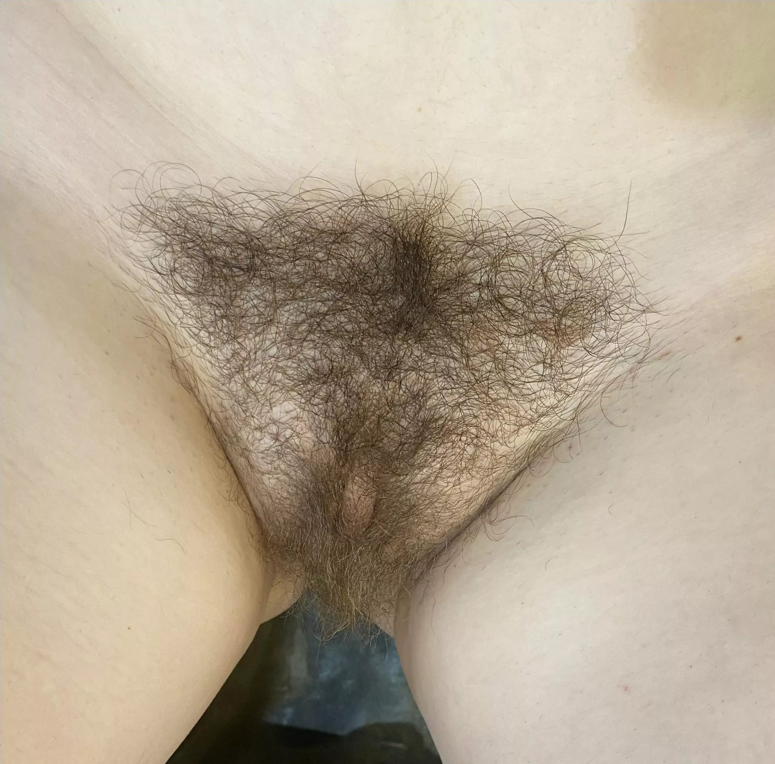 Please rate my pussy