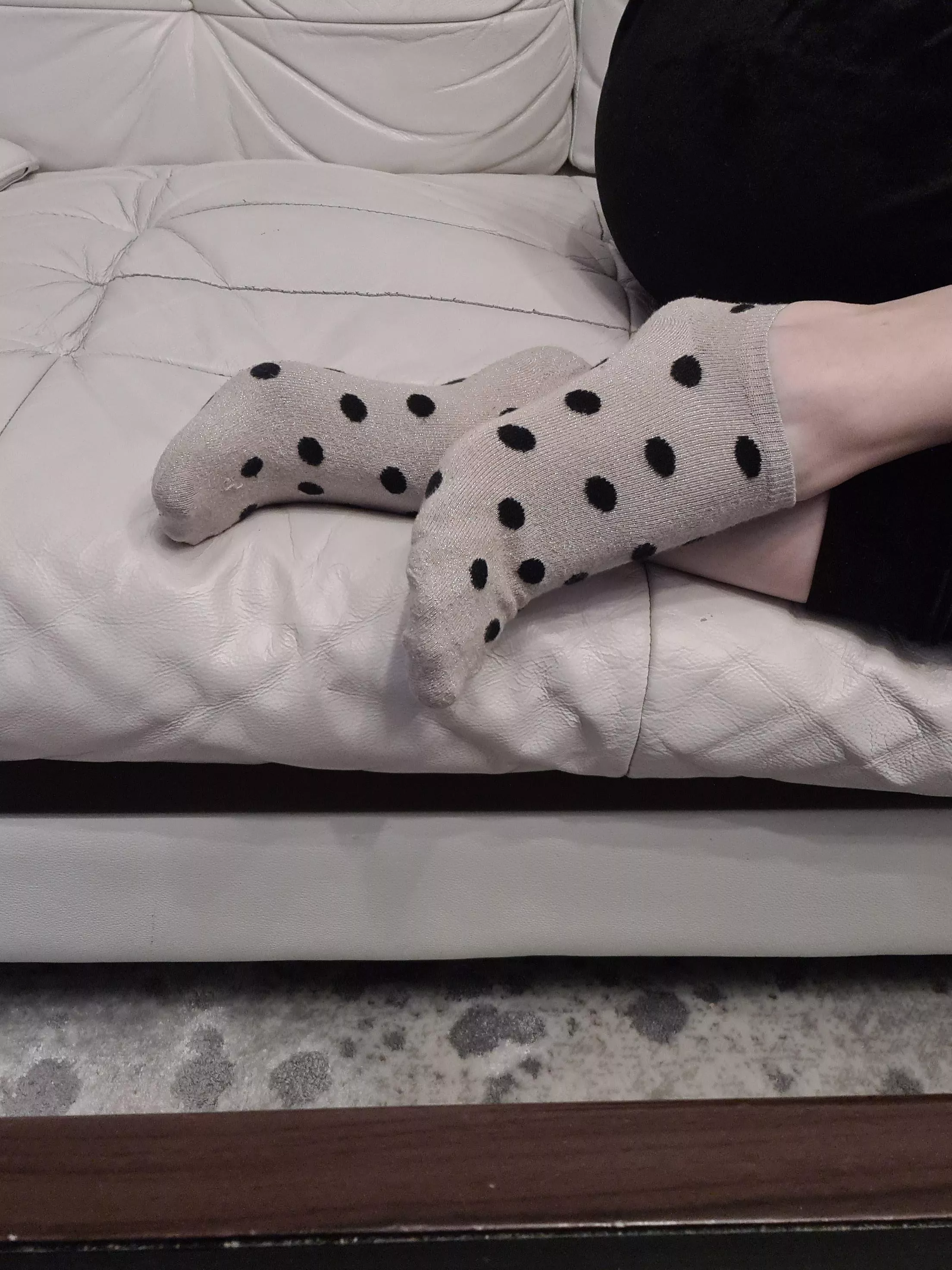 Polka for today [female]
