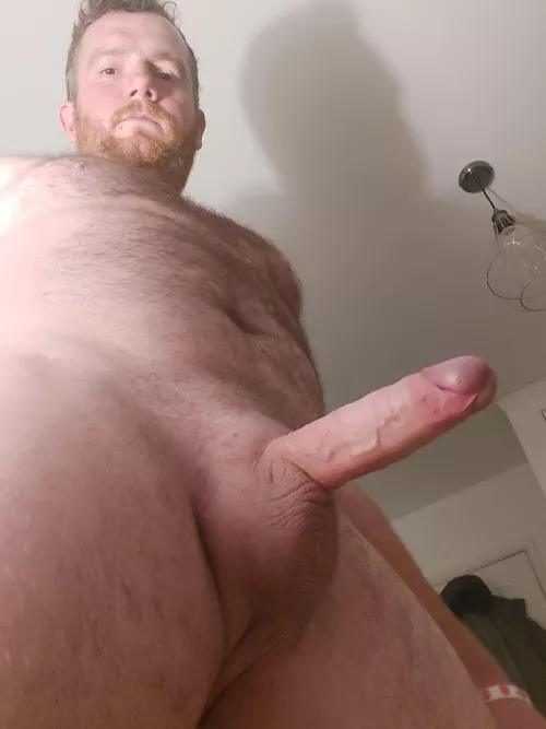 Some morning wood for you all ;)