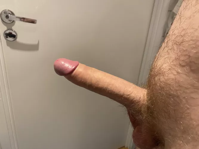 Some penis for you